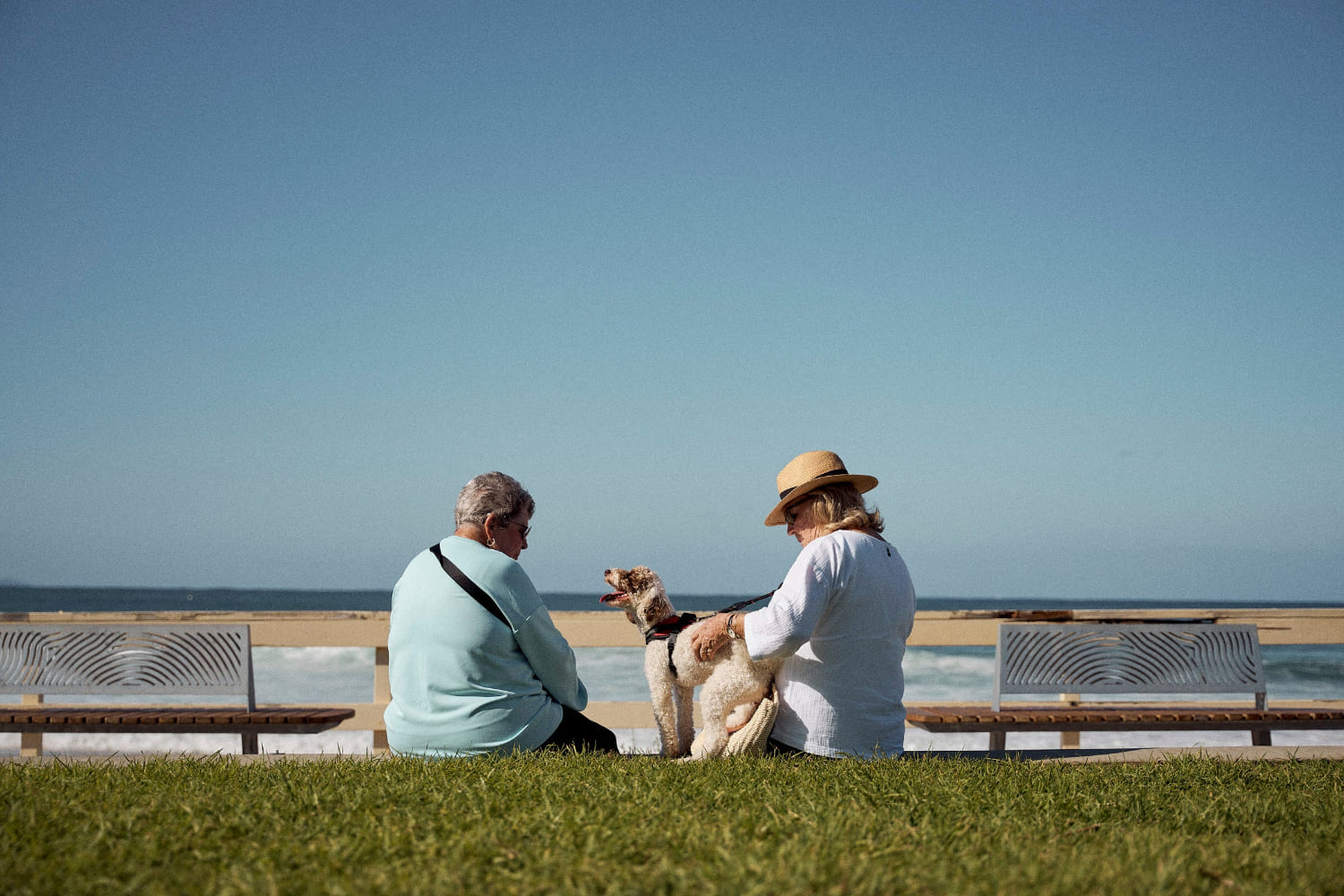 Two people relaxing with their dog on the grass overlooking Mollymook Beach.