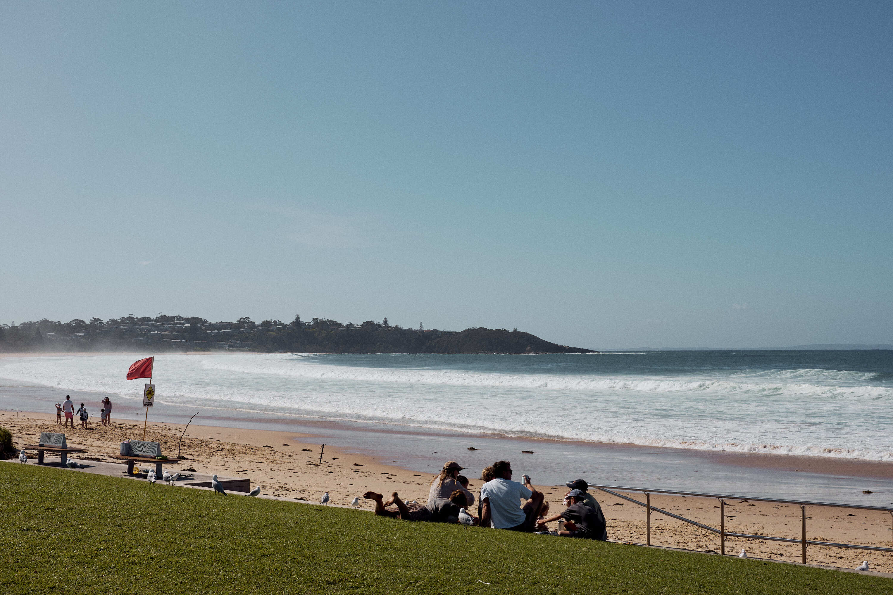 People relaxing on the grass overlooking Mollymook Beach.